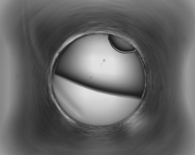 X0000085271525200703090905