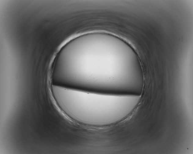 X0000085271526200703090905