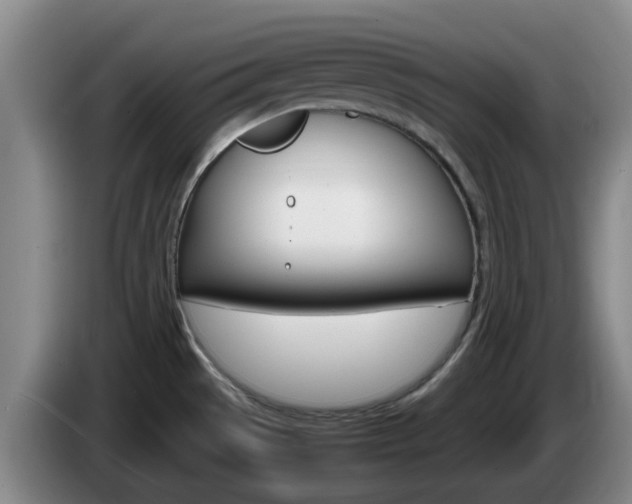 X0000085271529200703090905