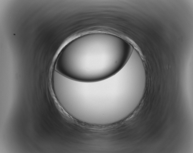 X0000085271530200703090905
