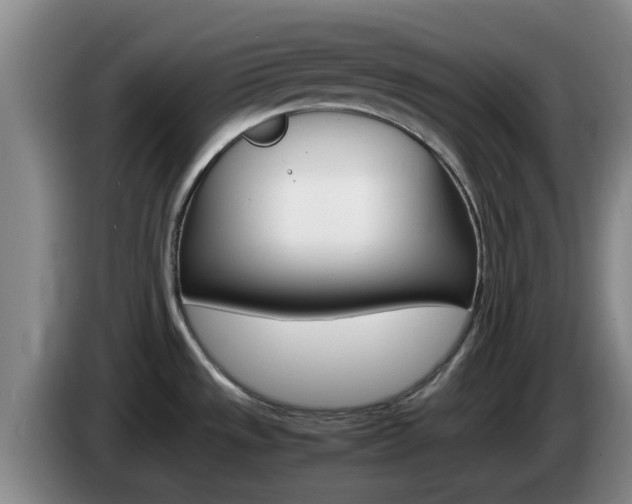 X0000085271533200703090905
