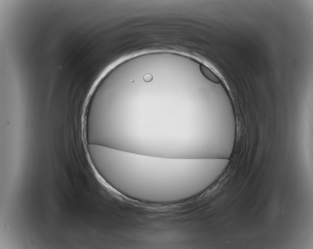 X0000085271535200703090905