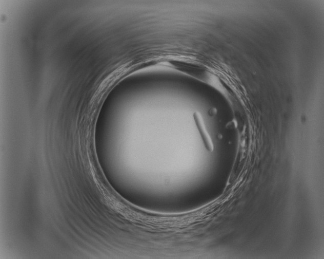 X0000085270001200703091404