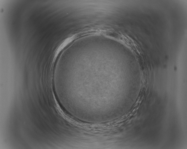 X0000085270003200703091404