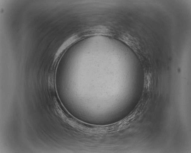 X0000085270004200703091404