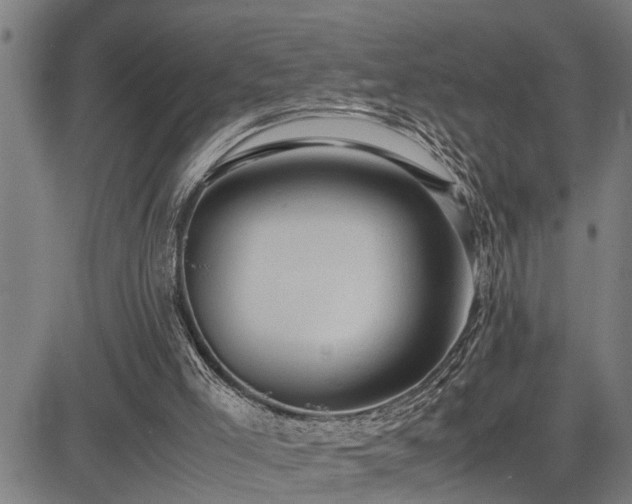 X0000085270005200703091404