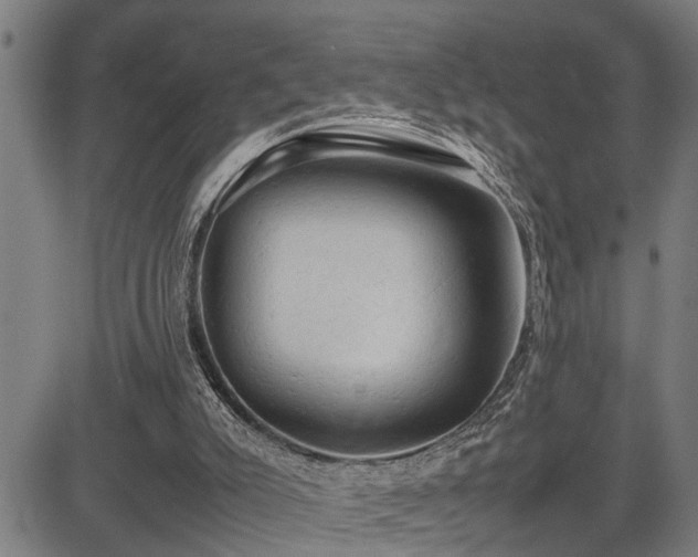 X0000085270007200703091404