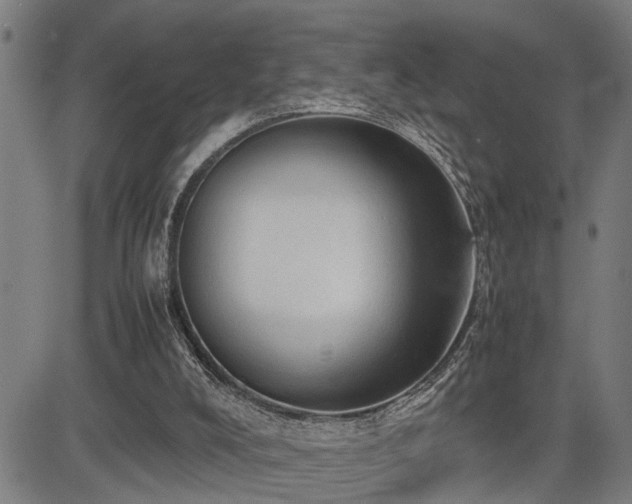 X0000085270008200703091404