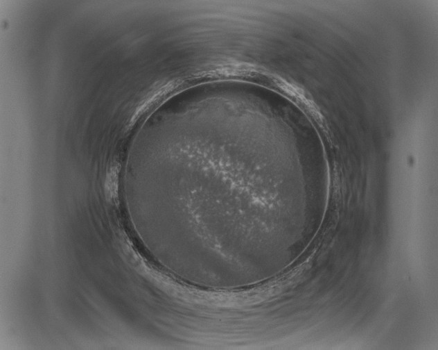 X0000085270010200703091404