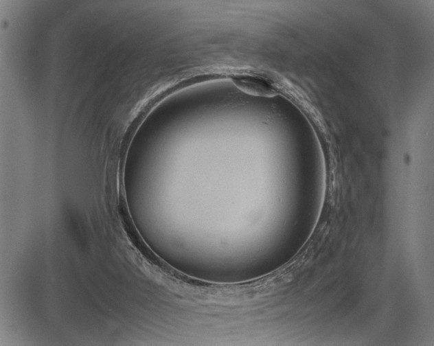 X0000085270011200703091404