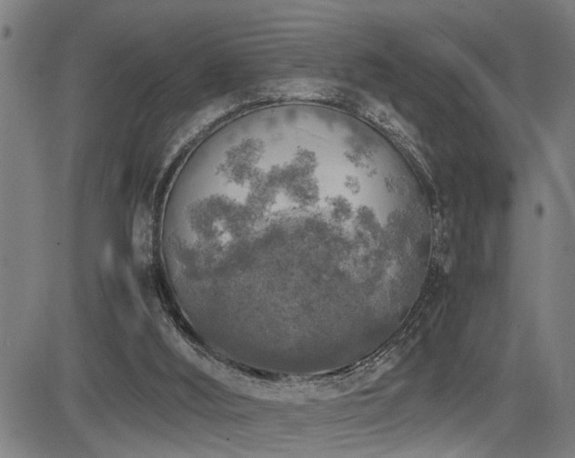 X0000085270012200703091404