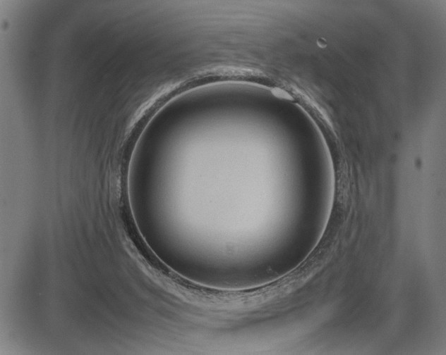 X0000085270015200703091404