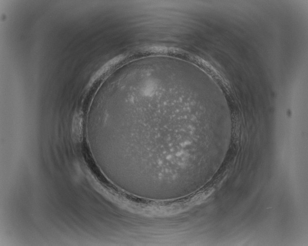 X0000085270016200703091404