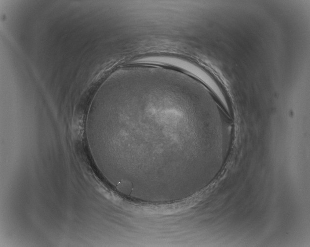 X0000085270017200703091404