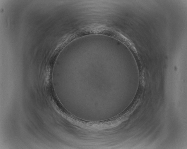 X0000085270018200703091404