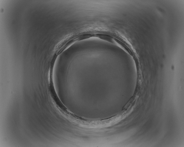 X0000085270019200703091404