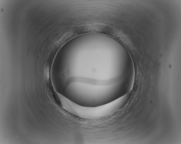 X0000085270021200703091403