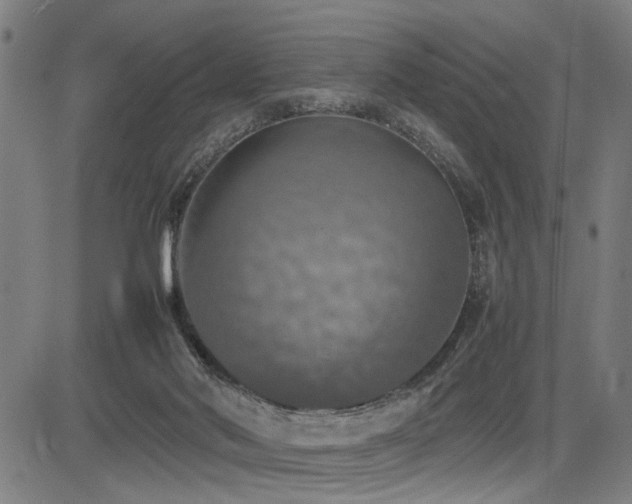 X0000085270022200703091403