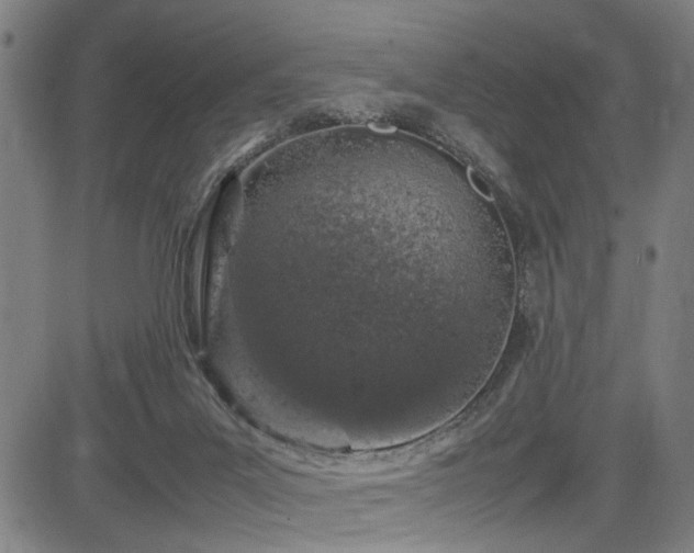 X0000085270023200703091403