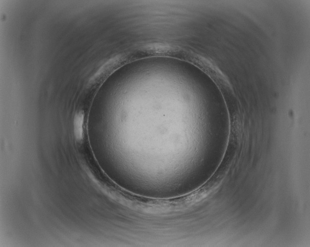 X0000085270024200703091403