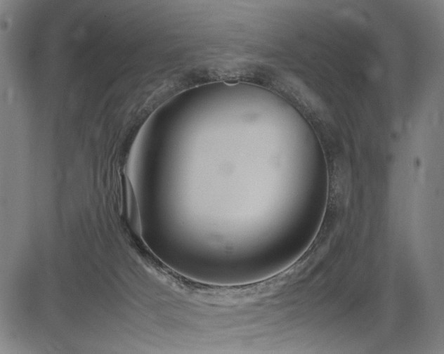 X0000085270025200703091403