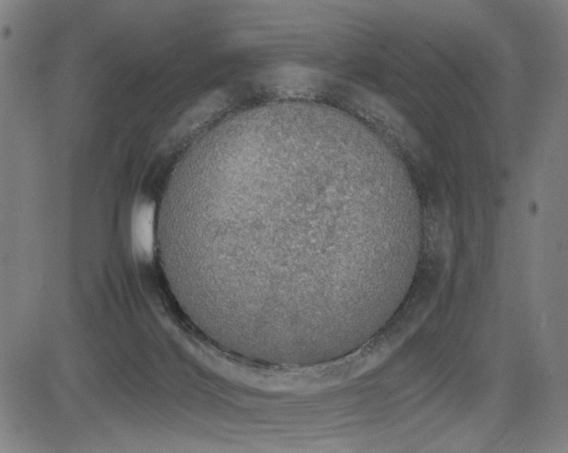 X0000085270028200703091403