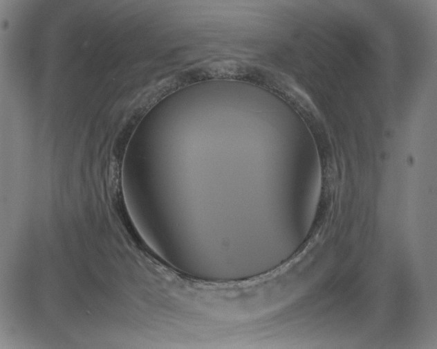 X0000085270029200703091403