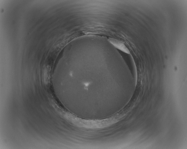 X0000085270030200703091403