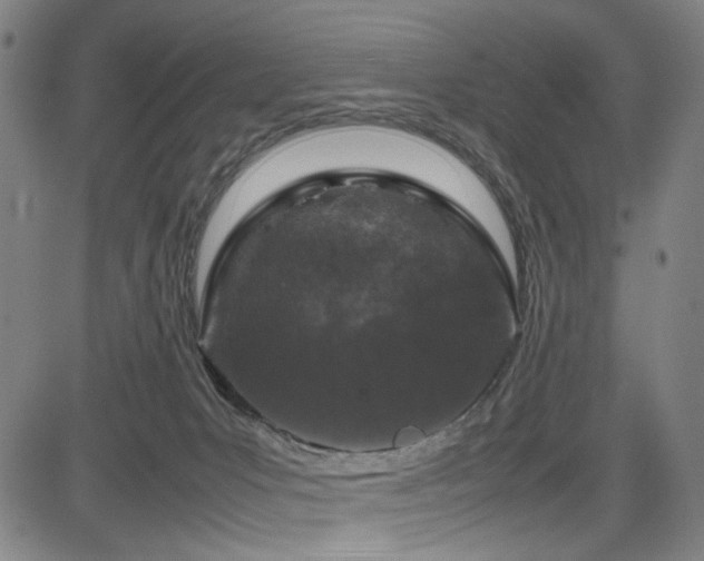 X0000085270031200703091403