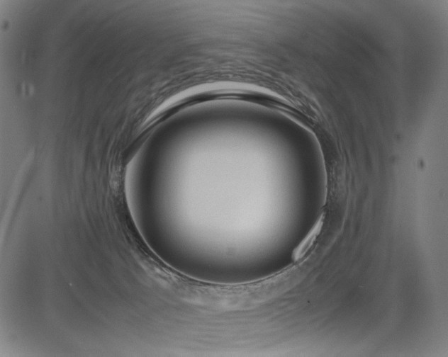 X0000085270033200703091403