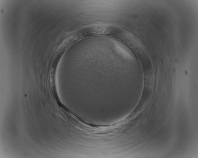 X0000085270035200703091403