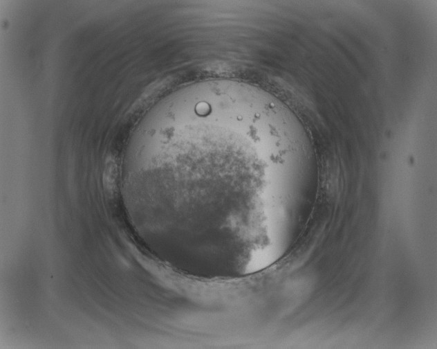 X0000085270036200703091403