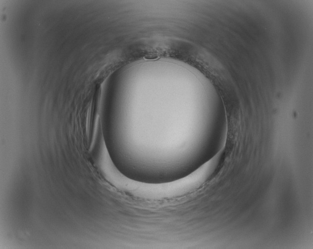 X0000085270037200703091403