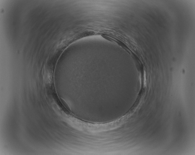 X0000085270039200703091403