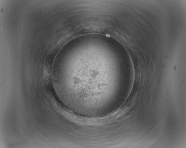 X0000085270040200703091403