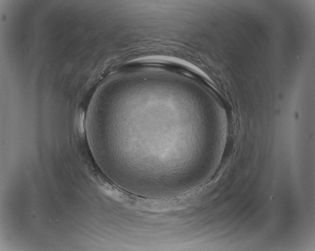 X0000085270041200703091403