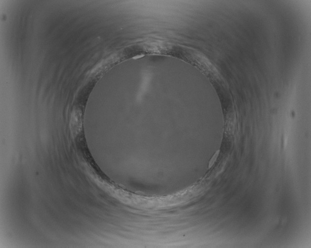 X0000085270043200703091403