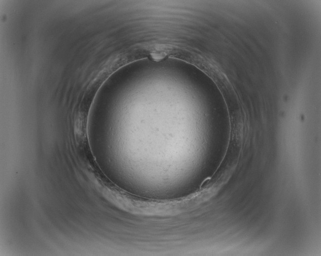 X0000085270044200703091403