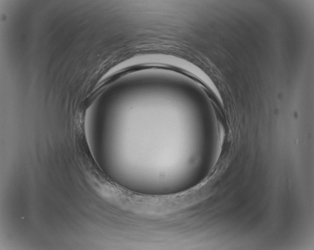 X0000085270045200703091403