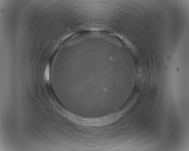 X0000085270046200703091403