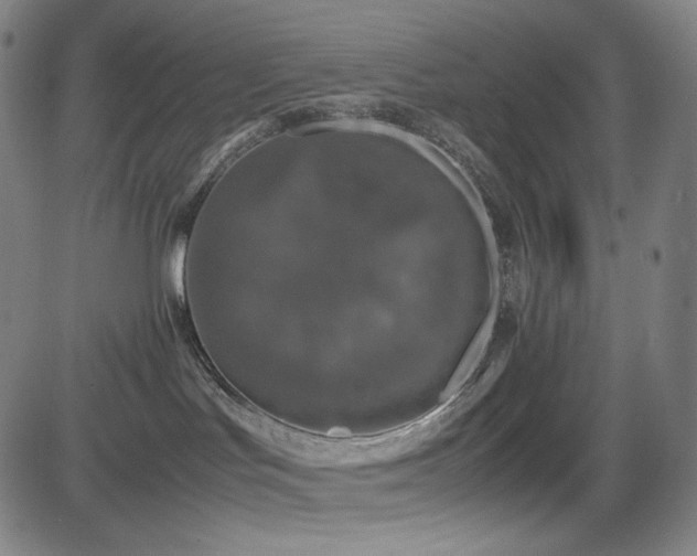 X0000085270047200703091403