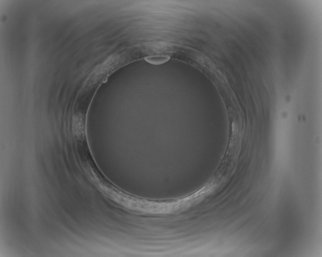 X0000085270048200703091403