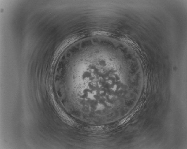 X0000085270049200703091402