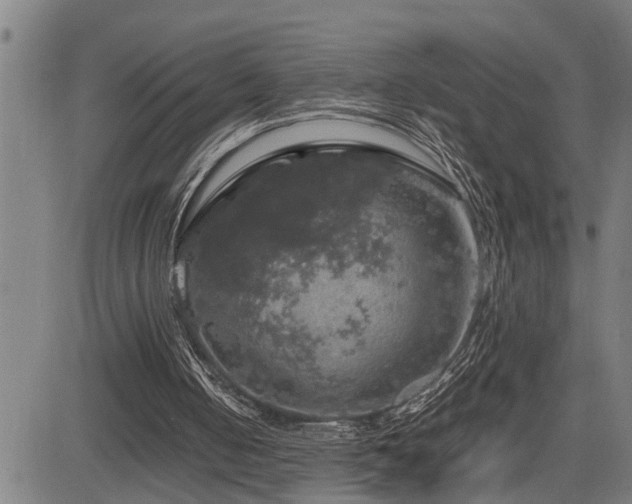 X0000085270050200703091402