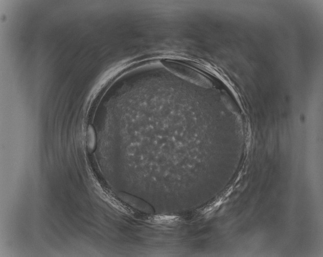 X0000085270055200703091402