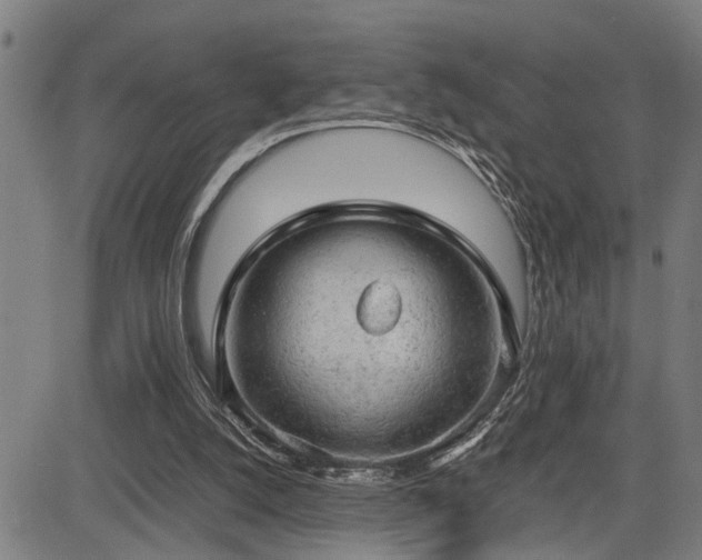 X0000085270056200703091402