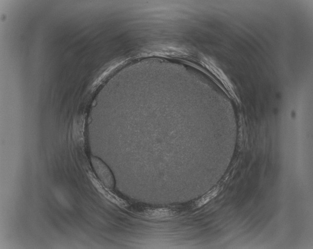 X0000085270058200703091402