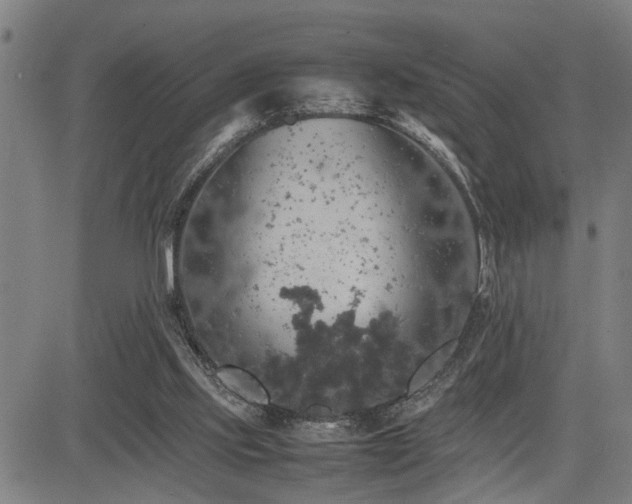 X0000085270061200703091402