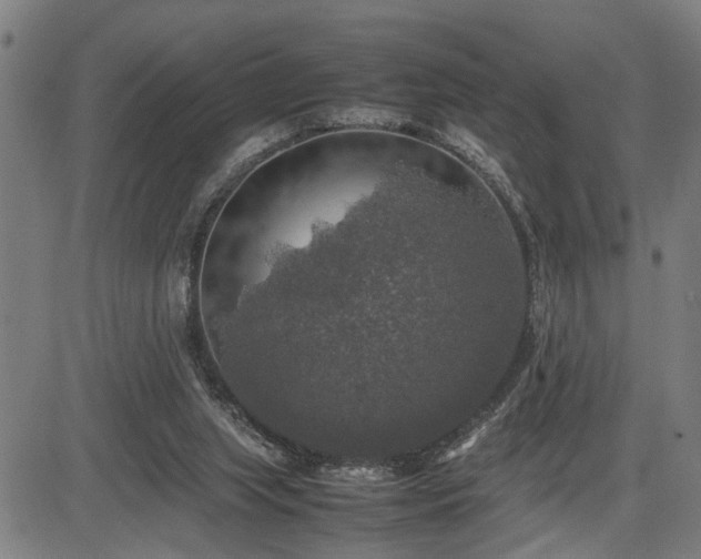 X0000085270063200703091402