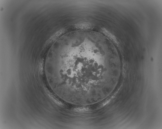 X0000085270065200703091402